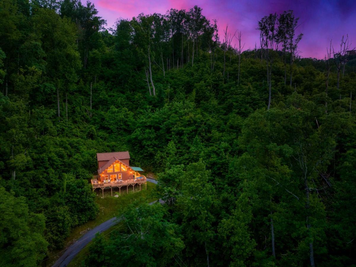 Mountainside - New Luxury Cabin-Fire Table-Hot Tub-3 Pools-Ps5-Bears 蓋特林堡 外观 照片